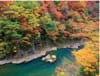 10月　抱返り渓谷(秋田) ザ・日本 2024年カレンダーの画像