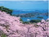 4月　松島(宮城) ザ・日本 2024年カレンダーの画像