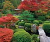 9/10月　三室戸寺(京都) 四季の庭 2024年カレンダーの画像