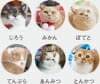  ねこと生活 -みかんとじろうさんち- 2024年カレンダーの画像