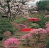 3/4月　白龍園(京都) 庭(フィルムカレンダー) 2024年カレンダーの画像