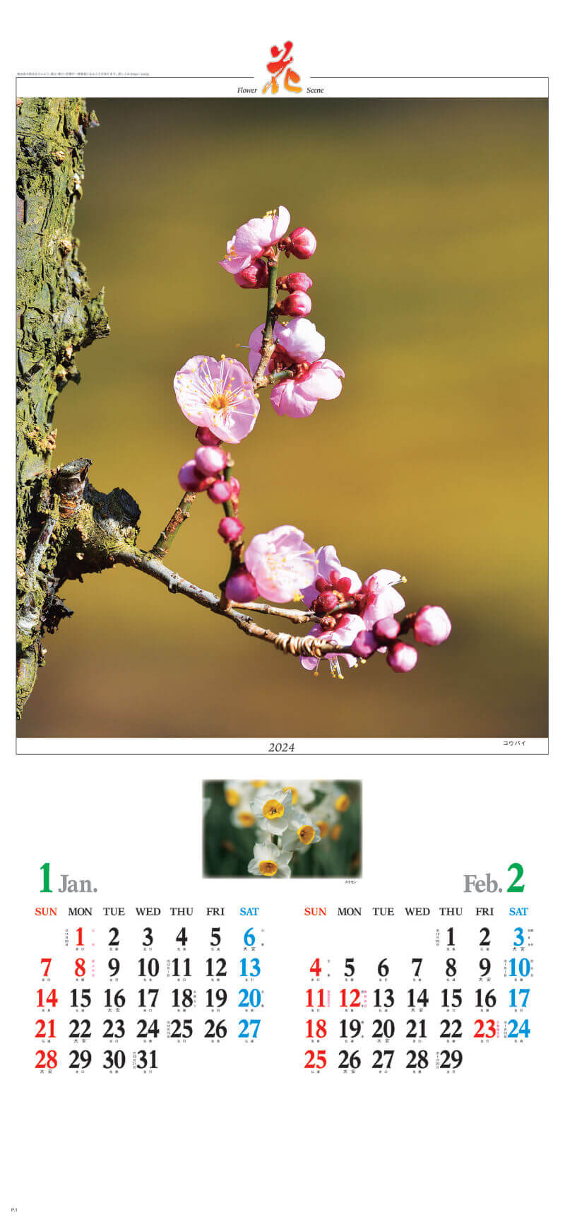 コウバイ 花 (Flower Scene) 2024年カレンダーの画像