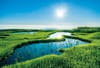 7月　弥陀ヶ原湿原(山形) 輝く太陽 2024年カレンダーの画像
