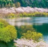 3/4月　八千代湖(広島) 美しい水辺(フィルムカレンダー) 2024年カレンダーの画像