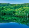 5/6月　地蔵沼(やまなし) 美しい水辺(フィルムカレンダー) 2024年カレンダーの画像