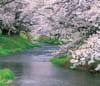3/4月　馬渡川(山形 せせらぎの詩(フィルムカレンダー・小) 2024年カレンダーの画像