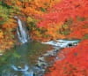 9/10月　中野川・不動の滝(青森) せせらぎの詩(フィルムカレンダー・小) 2024年カレンダーの画像