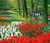 3/4月　キューケンホフ公園(オランダ) 世界の名勝(フィルムカレンダー・小) 2024年カレンダーの画像