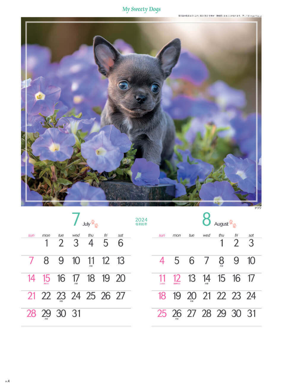 チワワ マイスウィーティードッグ 2024年カレンダーの画像
