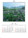 神楽女湖しょうぶ園(大分) 四季六彩 2024年カレンダーの画像