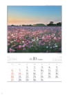 西都原古墳群(宮崎) 四季十二彩 2024年カレンダーの画像