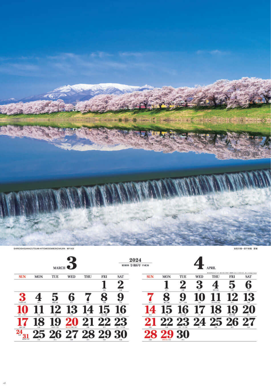 白石川堤一目三本桜(宮城) ワイドニッポン(フィルムカレンダー) 2024年カレンダーの画像