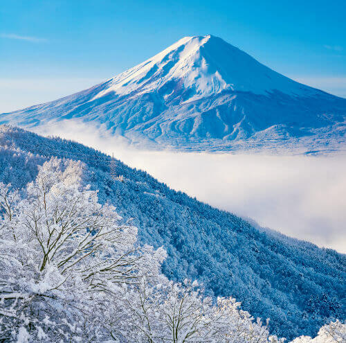11/12月　御坂峠より富士山(山梨) 富士山(フィルムカレンダー） 2024年カレンダーの画像