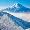 11/12月　御坂峠より富士山(山梨) 富士山(フィルムカレンダー） 2024年カレンダーの画像