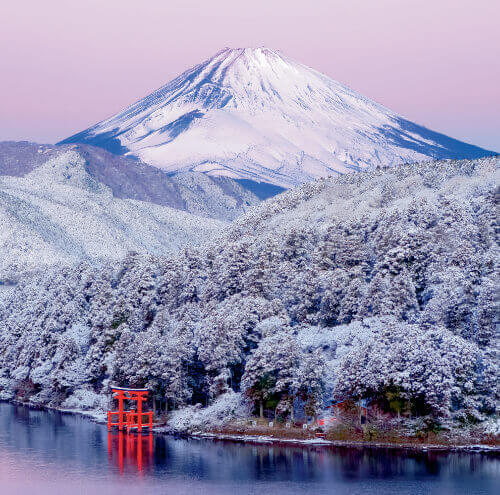 1/2月　箱根より富士山(神奈川) 富士山(フィルムカレンダー） 2024年カレンダーの画像
