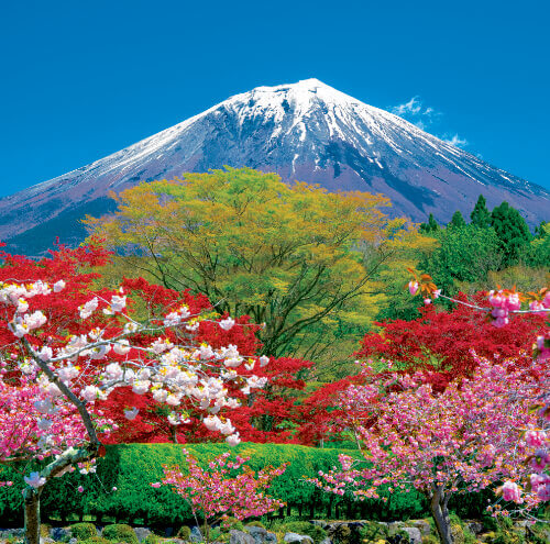 3/4月　富士宮市より富士山(静岡) 富士山(フィルムカレンダー） 2024年カレンダーの画像
