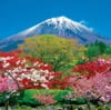 3/4月　富士宮市より富士山(静岡) 富士山(フィルムカレンダー） 2024年カレンダーの画像