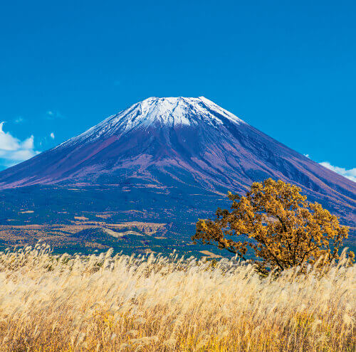 9/10月　朝霧高原より富士山(静岡) 富士山(フィルムカレンダー） 2024年カレンダーの画像