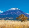 9/10月　朝霧高原より富士山(静岡) 富士山(フィルムカレンダー） 2024年カレンダーの画像