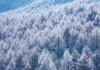 12月　平沢峠よりカラマツの霧氷(長野) 天地自然・森田敏隆写真集 2024年カレンダーの画像