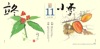 立冬/小雪 二十四節季 稜いっぺい 2025年カレンダーの画像