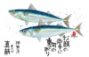 真鯖 魚彩時記 2025年カレンダーの画像