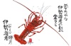 伊勢海老 魚彩時記 2025年カレンダーの画像
