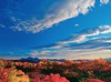  SORA -空- 2025年カレンダーの画像