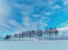  SORA -空- 2025年カレンダーの画像