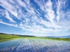  SORA -空- 2025年カレンダーの画像