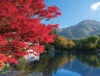 11月	金鱗湖（大分） ザ・日本 2025年カレンダーの画像