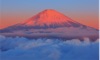  フォーエバージャパン 2025年カレンダーの画像