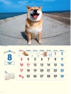  柴犬まるとおさんぽ 2025年カレンダーの画像