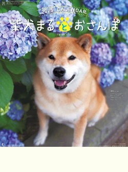 NK-35 柴犬まるとおさんぽ 2025年カレンダー