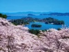 4/5月　西行戻しの松公園より松島(宮城) 彩り日本(12月はじまり) 2025年カレンダーの画像