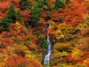 10/11月	白糸の滝(山形) 彩り日本(12月はじまり) 2025年カレンダーの画像