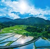 5/6月　田染荘（大分） 輝く太陽(フィルムカレンダー) 2025年カレンダーの画像