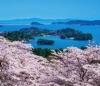 3/4月　西行戻しの松公園より松島（宮城） 四季の彩(フィルムカレンダー・小) 2025年カレンダーの画像