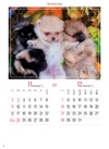 ポメラニアン マイスウィーティードッグ 2025年カレンダーの画像