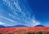 9月	生駒高原より韓国岳と甑岳（宮崎） 天地自然・森田敏隆写真集 2025年カレンダーの画像