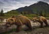 9月	ハイイログマ 世界動物遺産 2025年カレンダーの画像