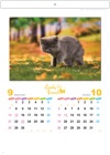  ラブリーフレンズ(猫) 2025年カレンダーの画像