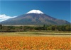  富士十二景 2025年カレンダーの画像