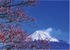  富士十二景 2025年カレンダーの画像