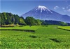  富士十二景 2025年カレンダーの画像