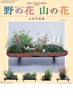NK-46 野の花・山の花 2026年カレンダー