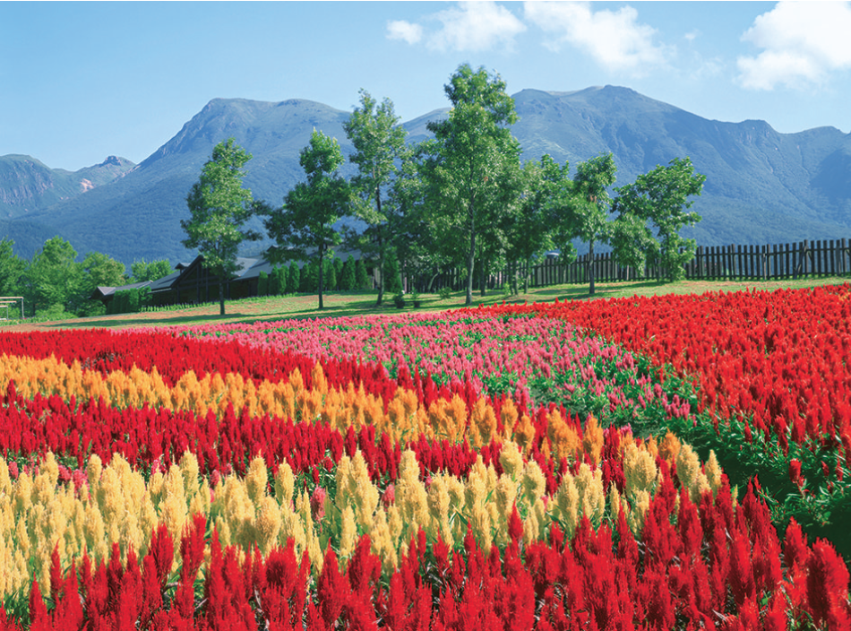 サムネイル10