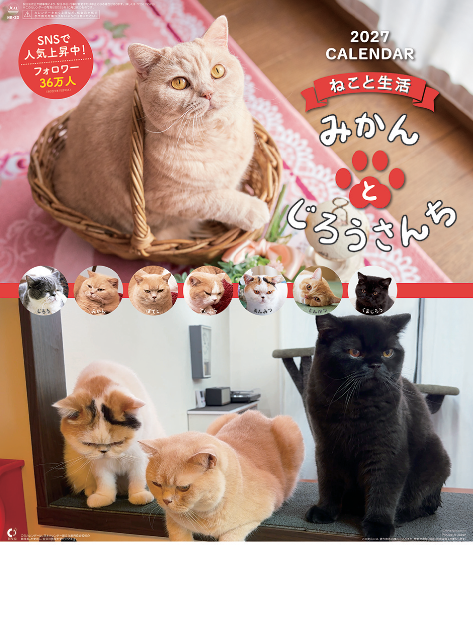  ねこと生活 2027年カレンダー