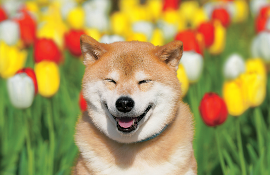 サムネイル5