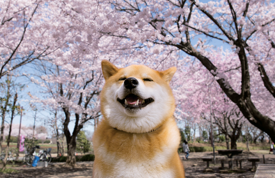 サムネイル6